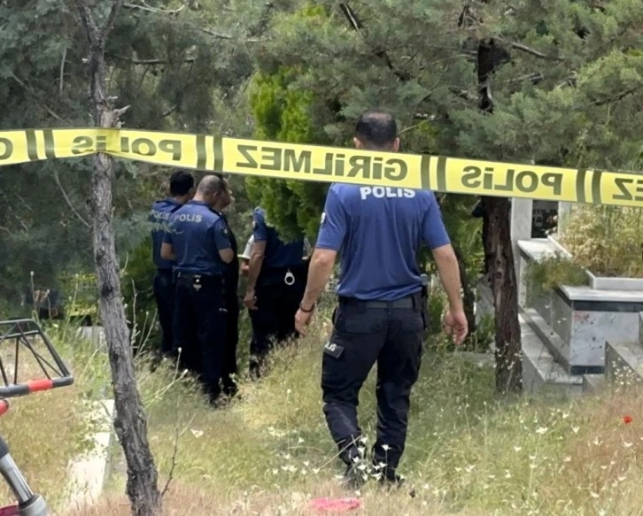 Ölen kardeşinin mezarı başında canına kıydı