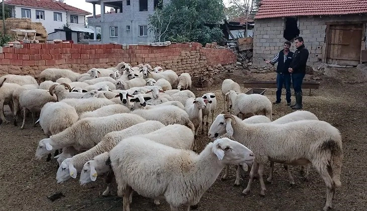 11  kırsal mahalle çiçek  karantinasına alındı