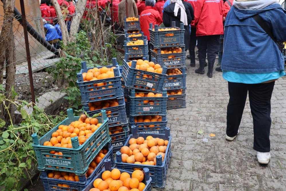 46 şehirden gelen 200 gönüllü enkaz kentte narenciye hasadında