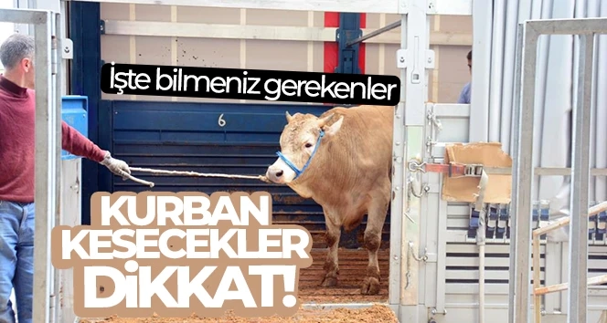 Kurban alımı ve keseceklere önemli uyarı