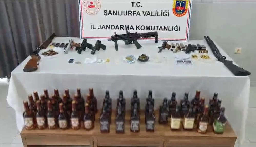 Şanlıurfa'da jandarma operasyonu: 29 gözaltı