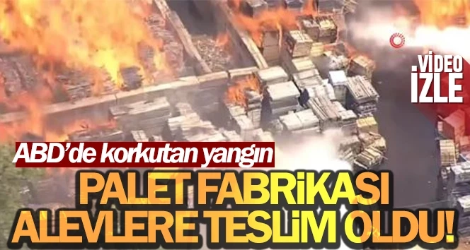 Amerika’da palet fabrikasında korkutan yangın