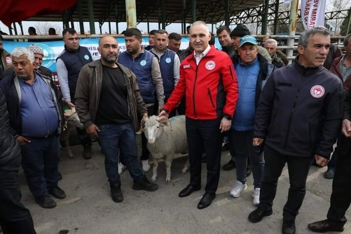 Manisa’da damızlık koç dağıtımı yapıldı