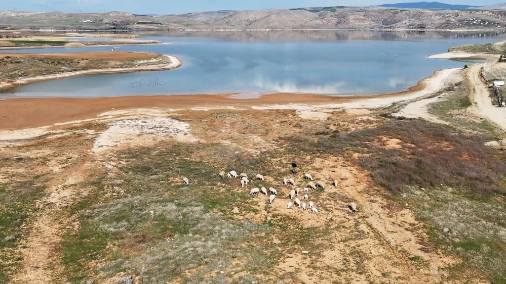 Türkiye'nin en uzun nehri Kızılırmak'ta kuraklık tehlikesi