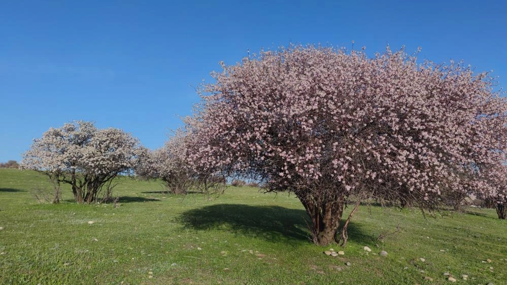 Van'da iki mevsim bir arada