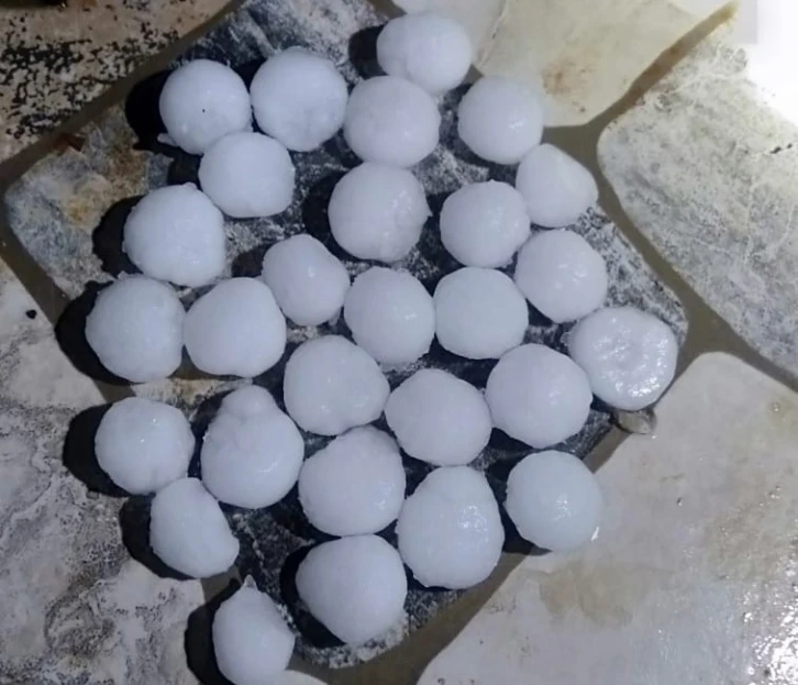 Dolu yağışı Malatya'da kayısı bahçelerine zarar verdi