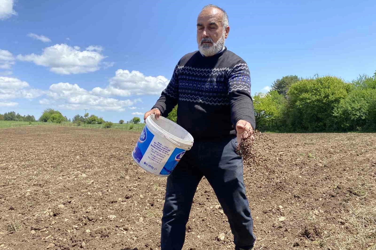 Karabuğday ektiler, çölyak hastalarından gelen taleplere yetişemez hale geldiler