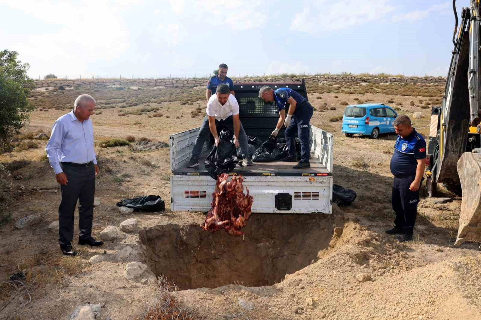 Akdeniz’de Zabıta menşei belirsiz 500 kilo et ele geçirdi