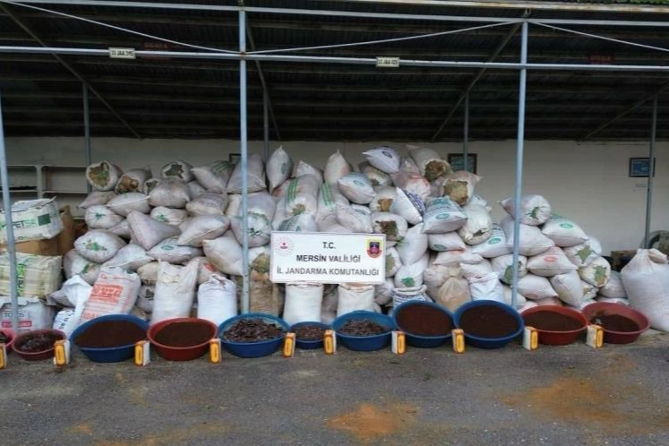 Çamlıyayla ilçesinde 10 ton kaçak tütün ele geçirildi