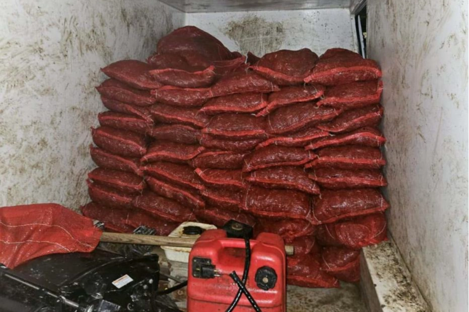 Altınova ilçesinde  2 ton 300 kilo kaçak midye ele geçirildi