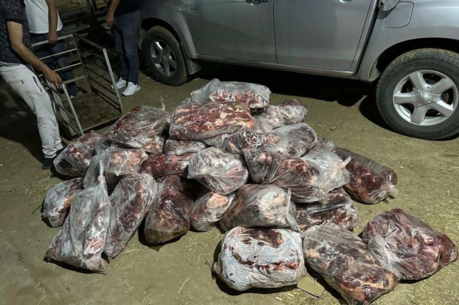 Aydın'ın incirliova ilçesinde 1 ton domuz eti ele geçirildi