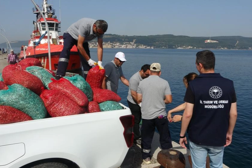 Çanakkale'de 3 ton kum şırlanı ele geçirildi