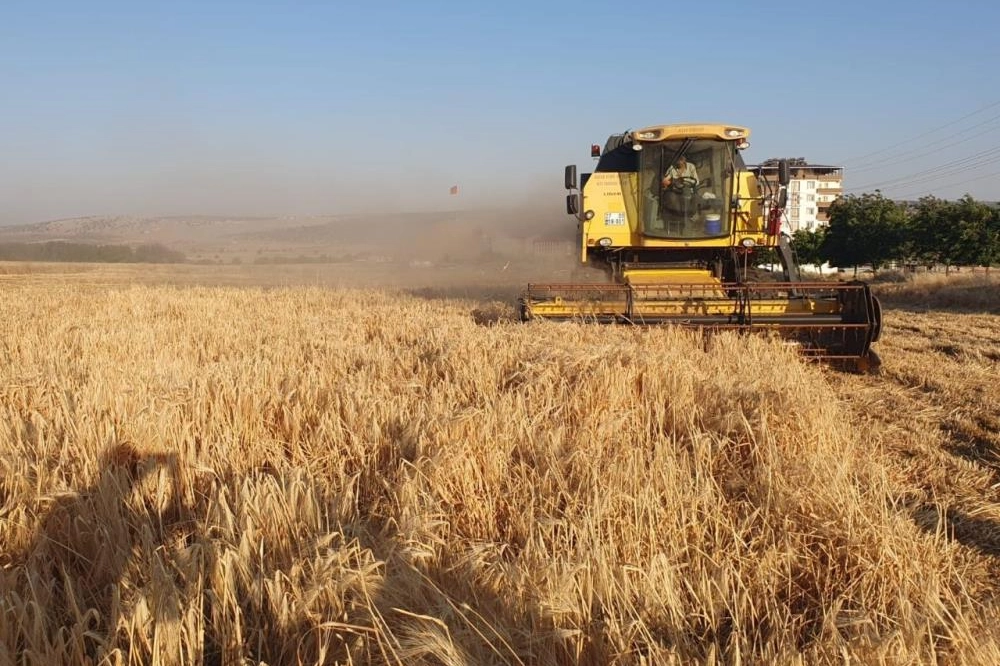 Yavuzeli ilçesinde yılın ilk arpa ve buğday hasadı başladı