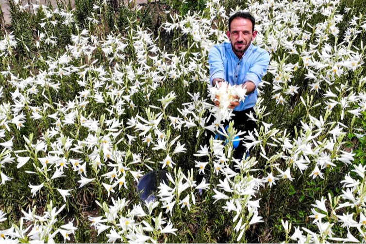 Faydaları saymakla bitmiyor, fiyatıyla dudak uçuklatıyor