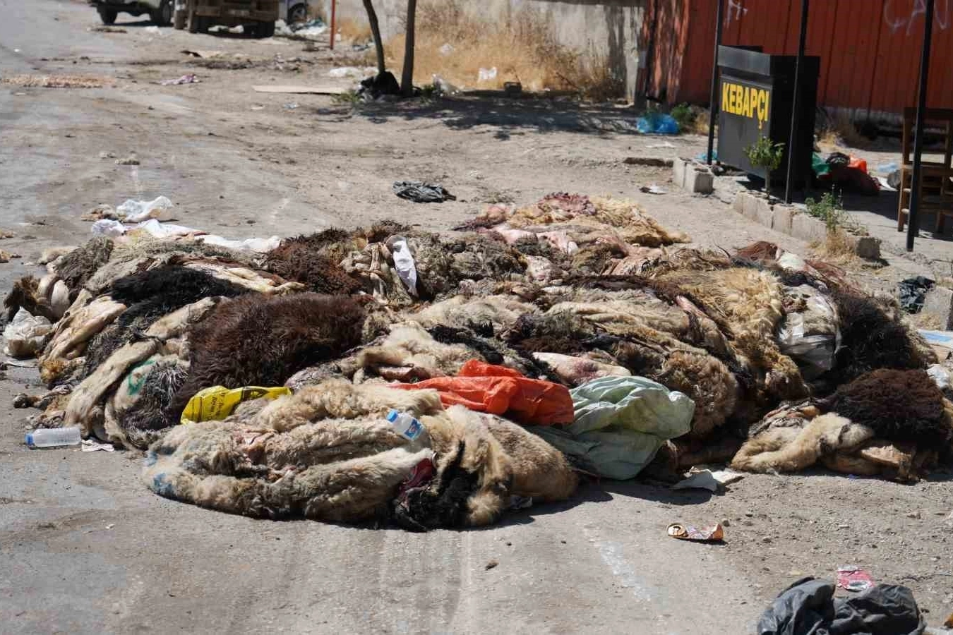 Kurban Bayramında Gaziantep’te mide bulandıran görüntüler tepki çekiyor