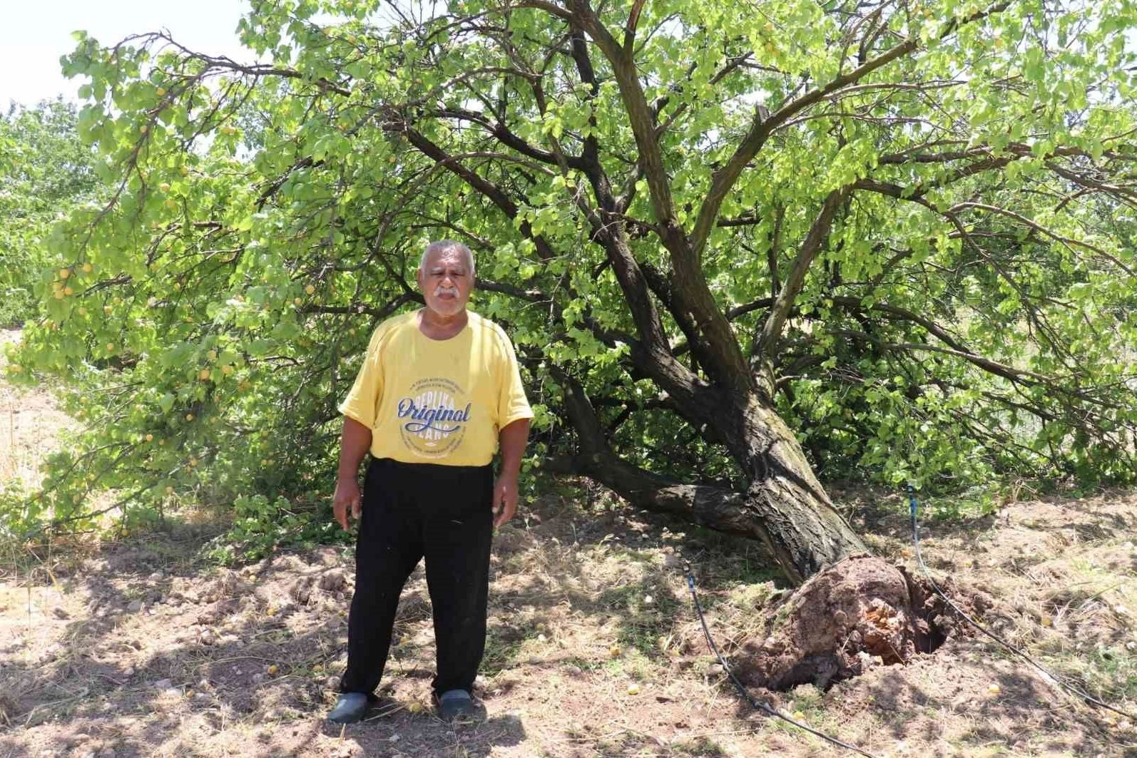 Fırtına, Malatyalı kayısı çiftçisinden şok yarattı  ağaçlar devrildi meyveler yere saçıldı