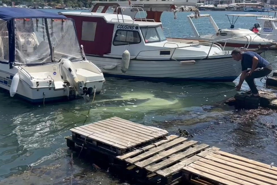 Park ettiği otomobil Haliç'te denize düştü, sürücü kurtuldu