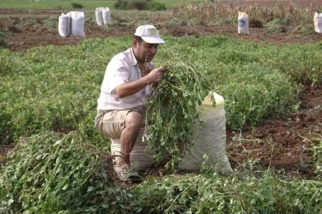 Osmaniye'de tarla sulamaya giden çiftçi ölü bulundu