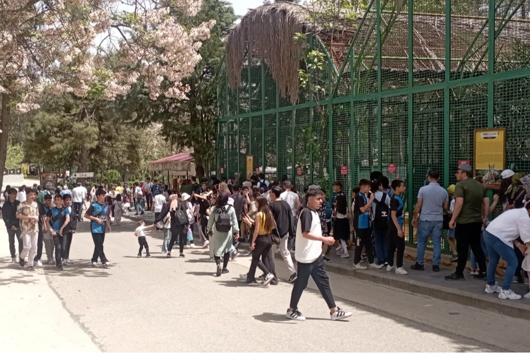 Gaziantep’te bayramda müzeler ve doğal yaşam parkı, ziyaretçi akınına uğradı