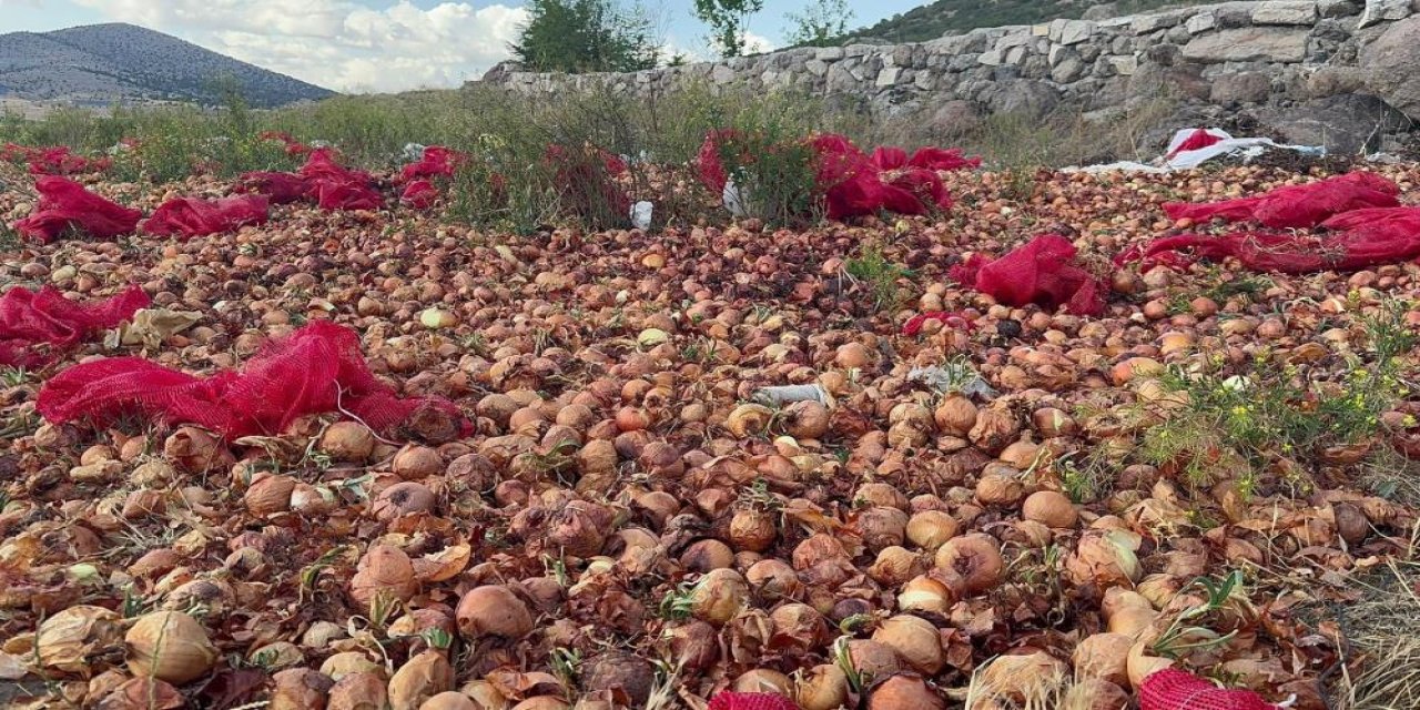 Boş araziye  2 ton kuru soğanı döküp gittiler