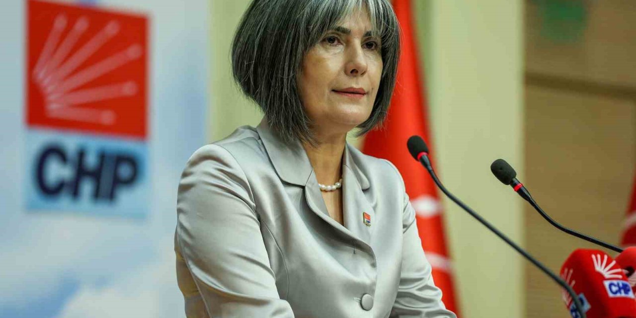 Birsen Bayar, CHP Kadın Kolları Başkanlığına  aday