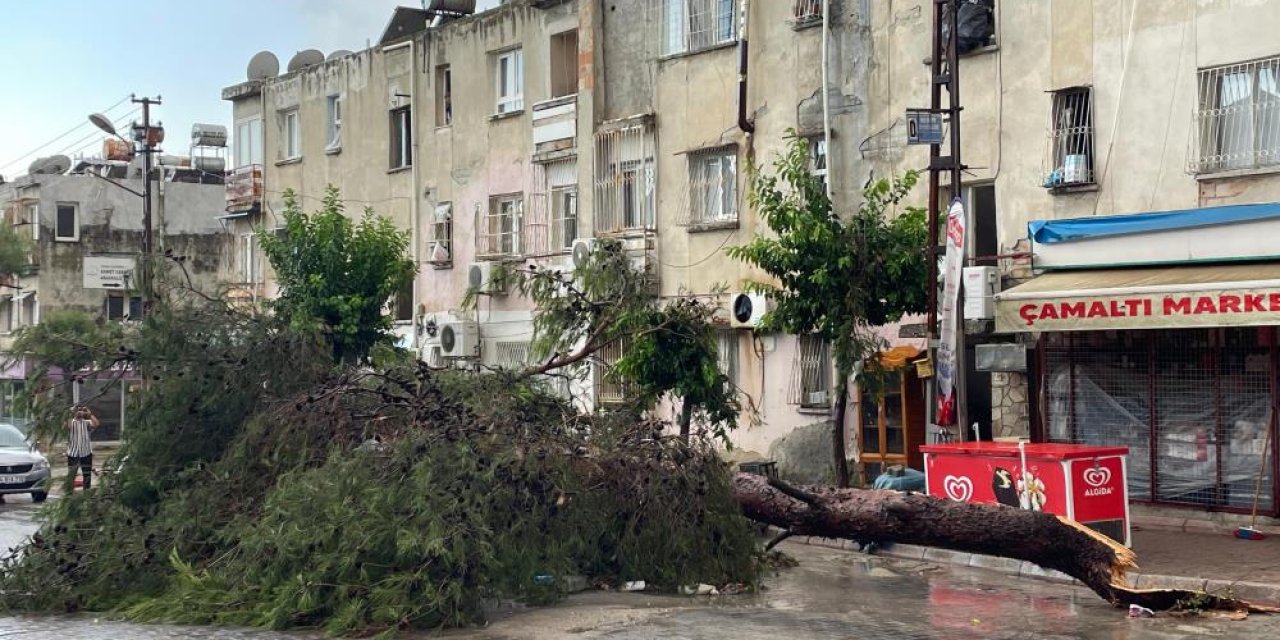 Adana'da şiddetli yağmur ve rüzgar ağaçları kökünden söktü, vinci devirdi