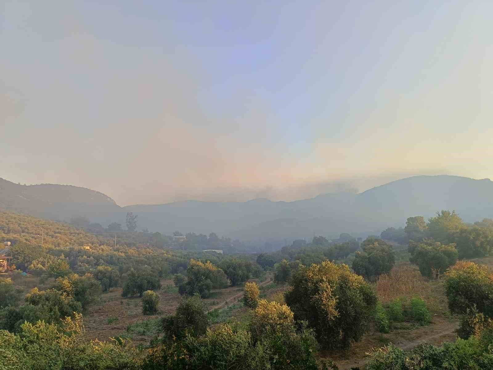 Adana da orman yangını