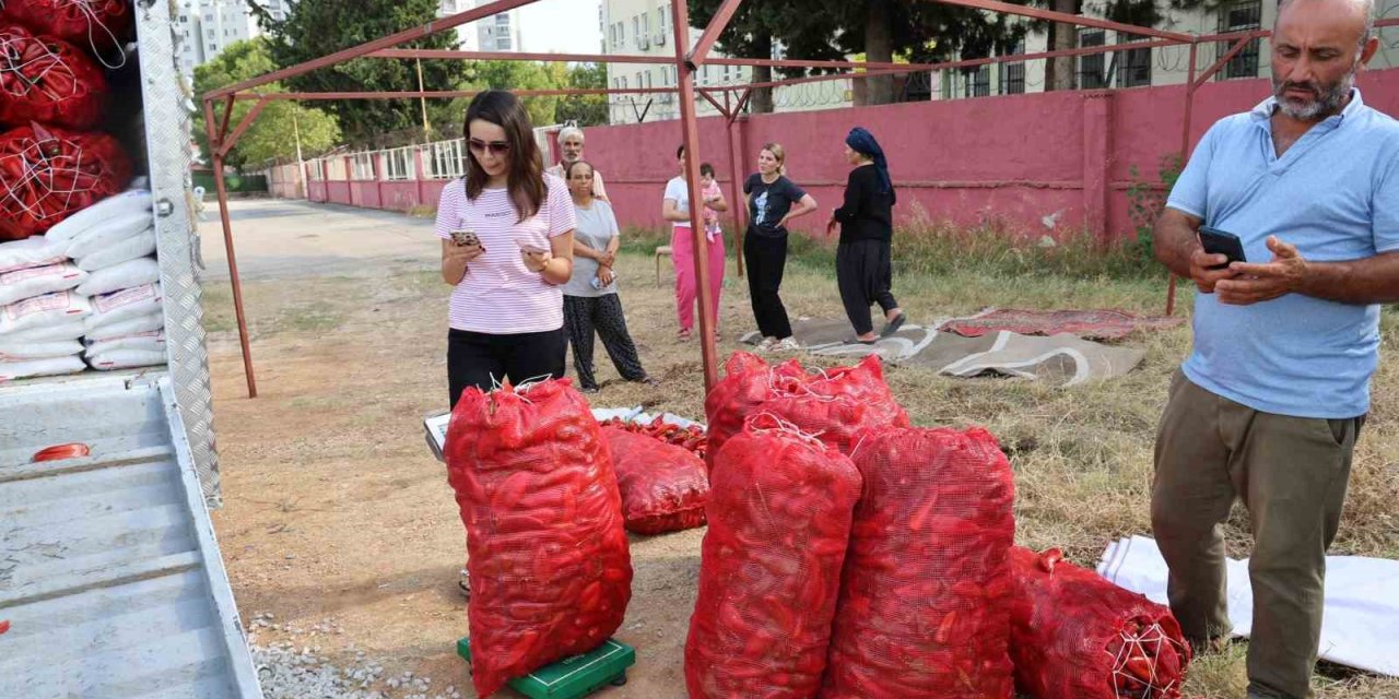 Salçalık biber telaşı başladı