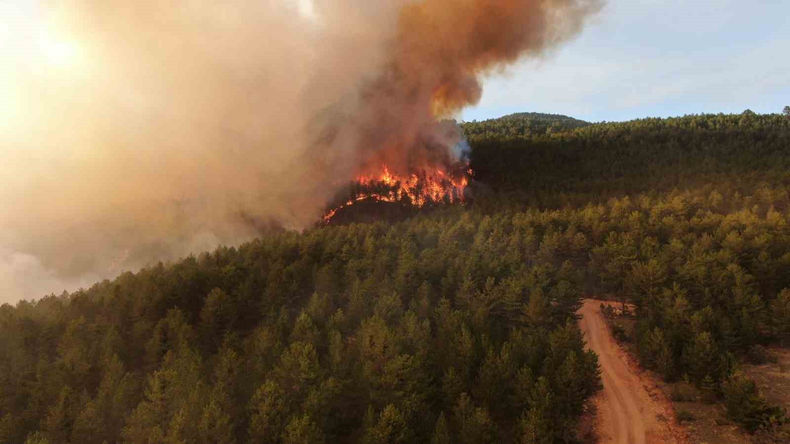 Ilgaz Dağı’nda yükselen alevler havadan görüntülendi