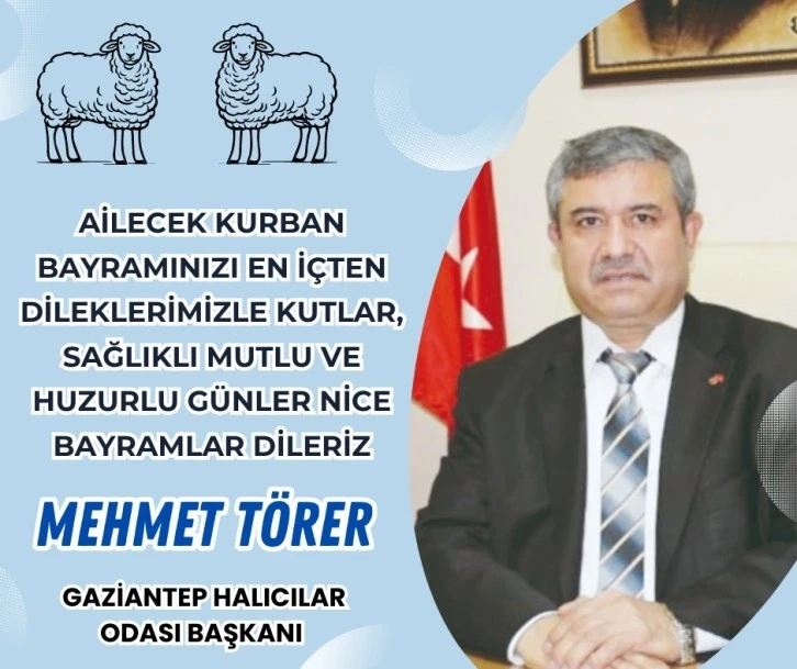 Mehmet Törer