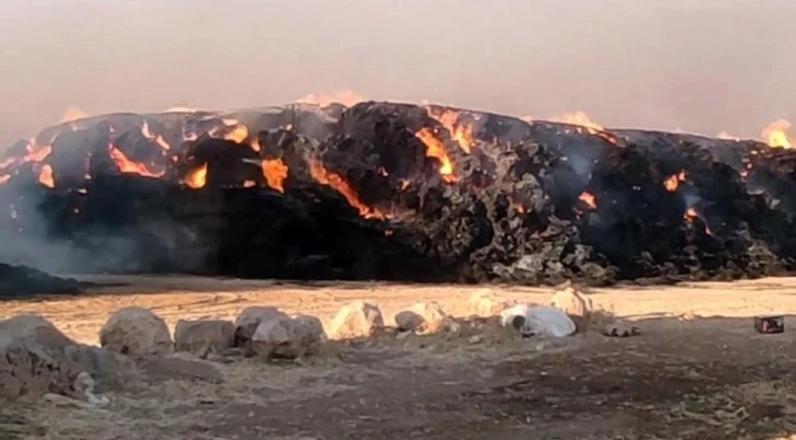 Akçakale'de 5 bin ton saman kül oldu