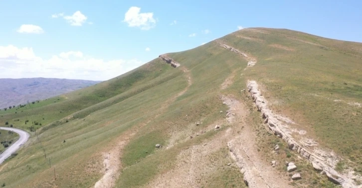 Muş’ta bulunan Deniz canlıları fosili tarihçilerin ilgi odağı