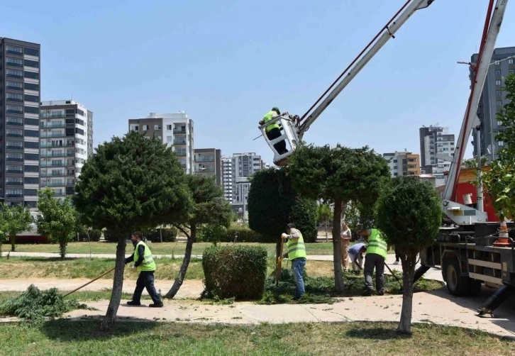 Mersin Toroslar ’da park ve yeşil alanlar bakımdan geçiyor