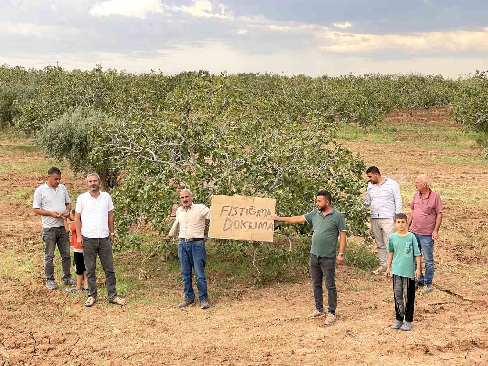 Suruç’da köylüler tarım arazilerinin imara açılmasına tepki veriyor