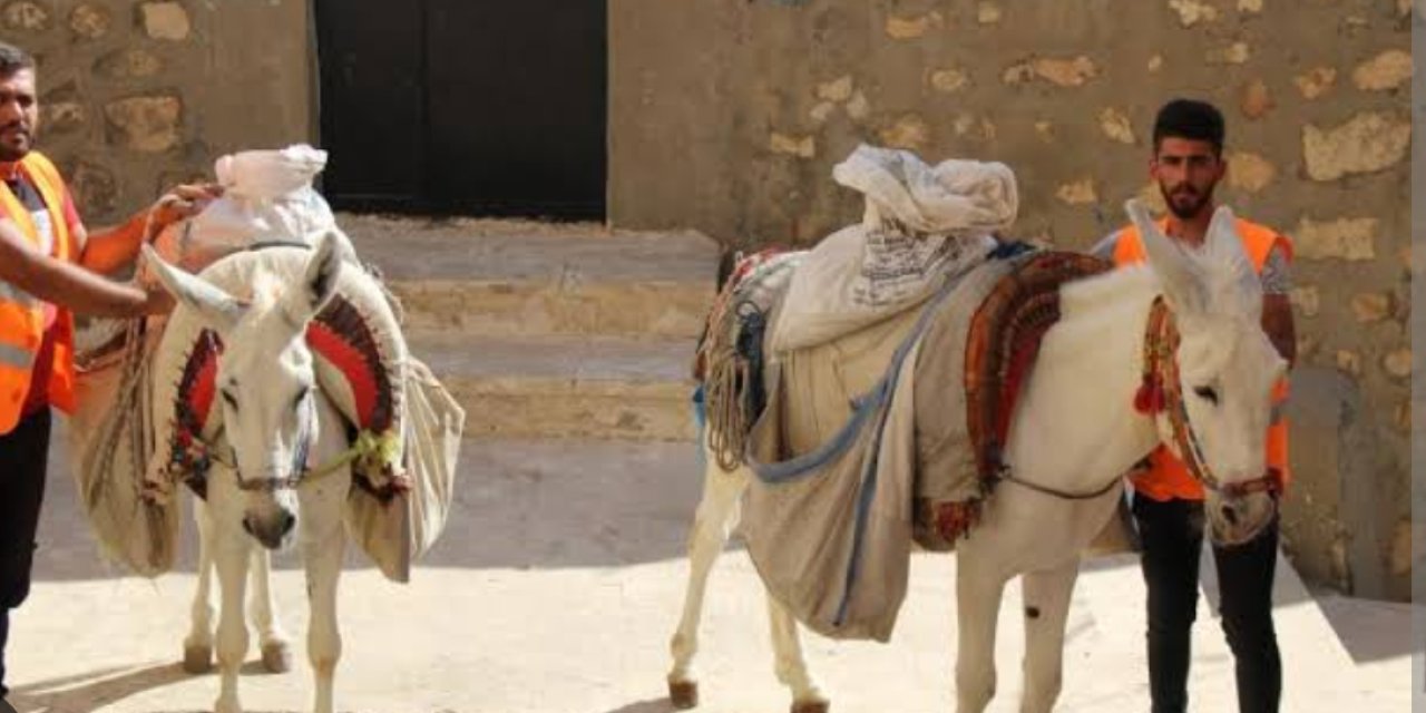 Mardin’de kadrolu eşeklerle hizmete devam