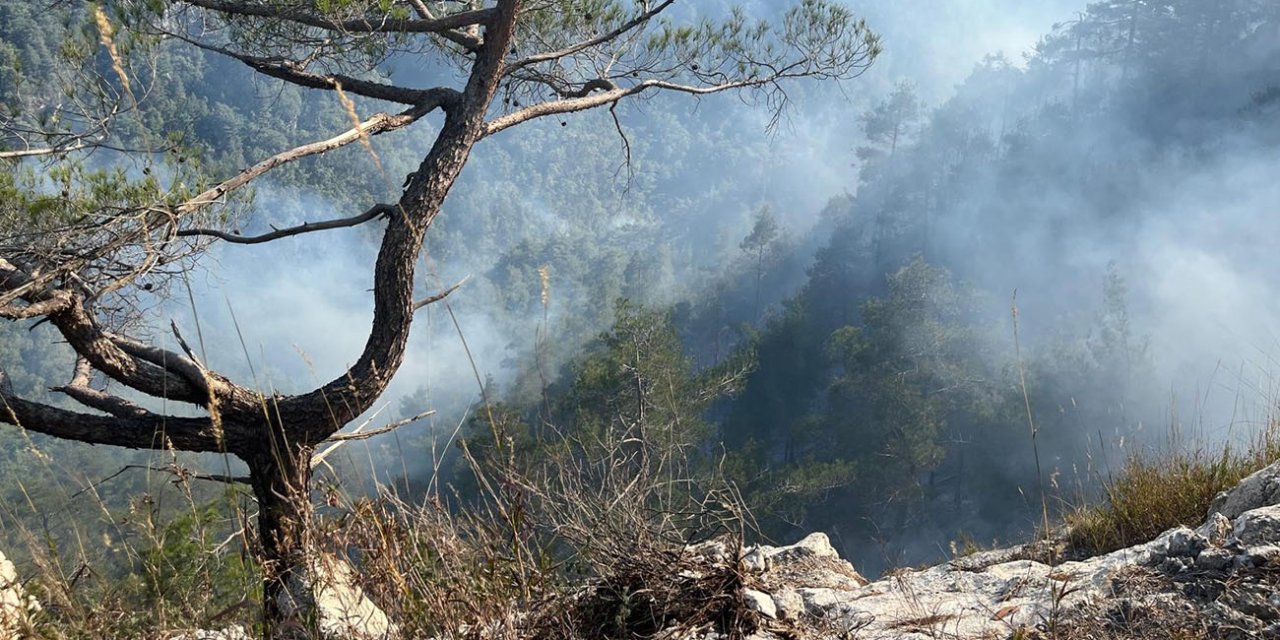 Hatay’da Orman yangınında 23. saat geride kaldı