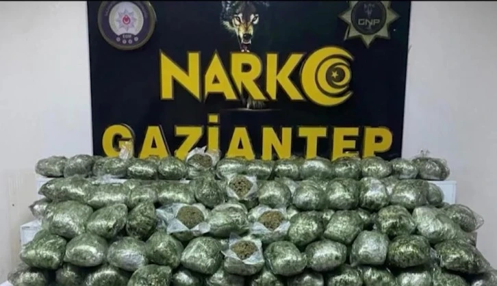 Gaziantep'te 80 kilo skunk ele geçirildi