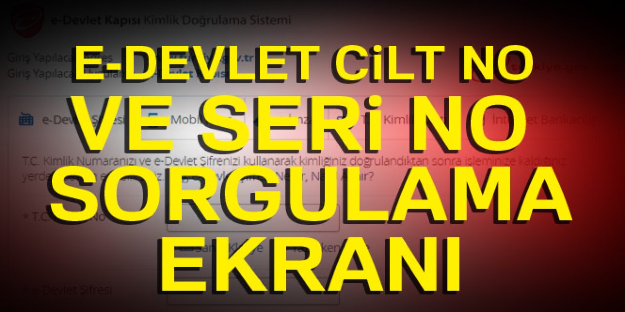 E-Devletten cilt no ve seri no nasıl öğrenilir?