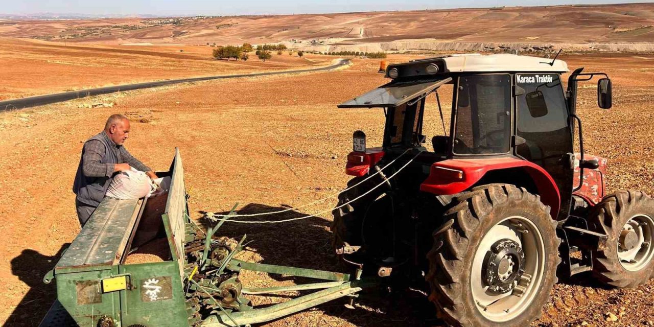 Besni Ovasında buğday ekimi başladı