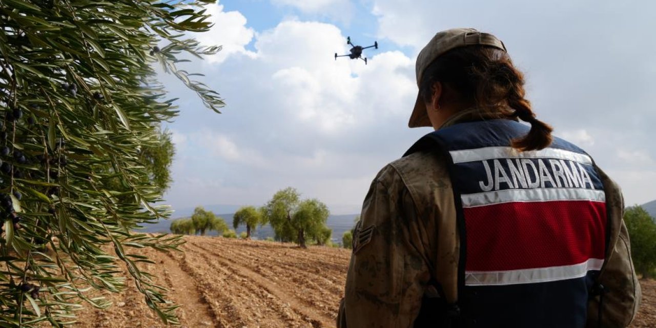 Kilis'te zeytin bahçelerinde jandarma gece gündüz nöbet tutuyor