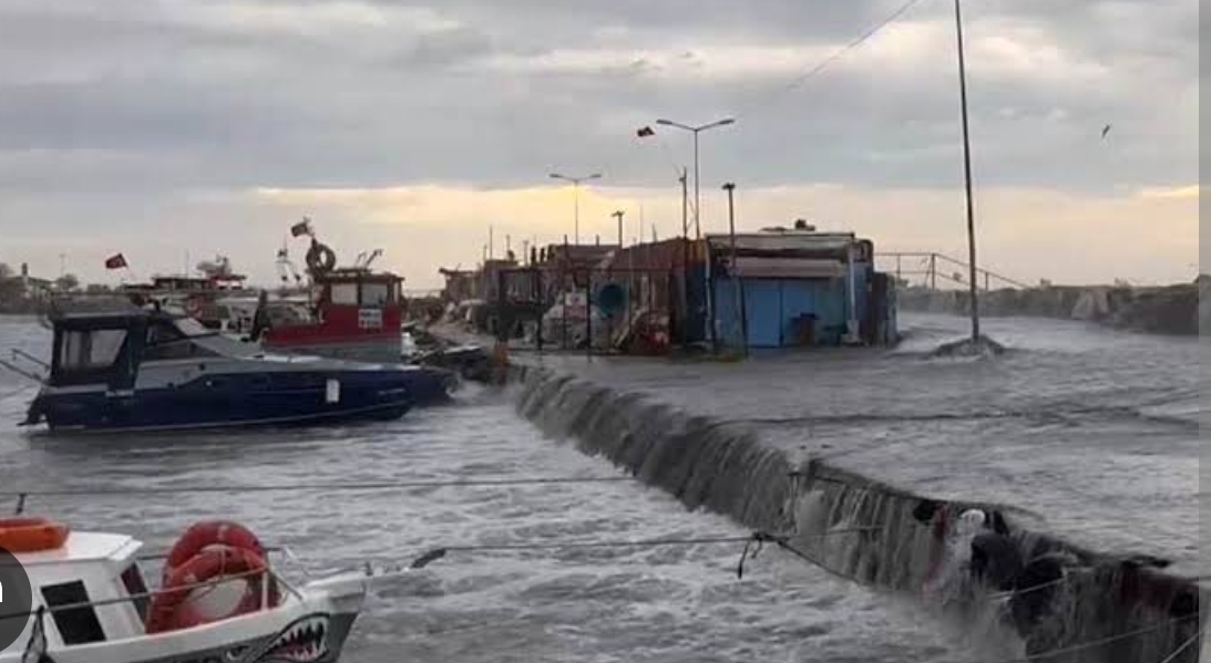 Rüzgardan balıkçı tekneleri limana yanaşamadı