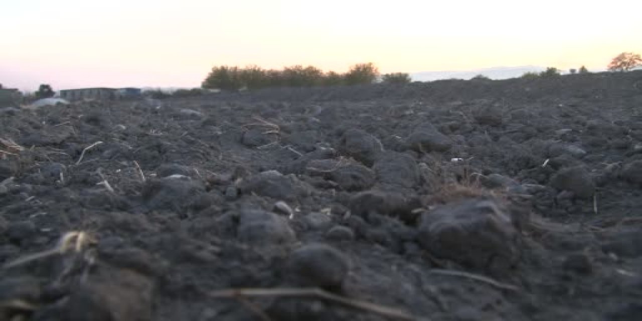 Şanlıurfa'da çiftçiler tedirgin