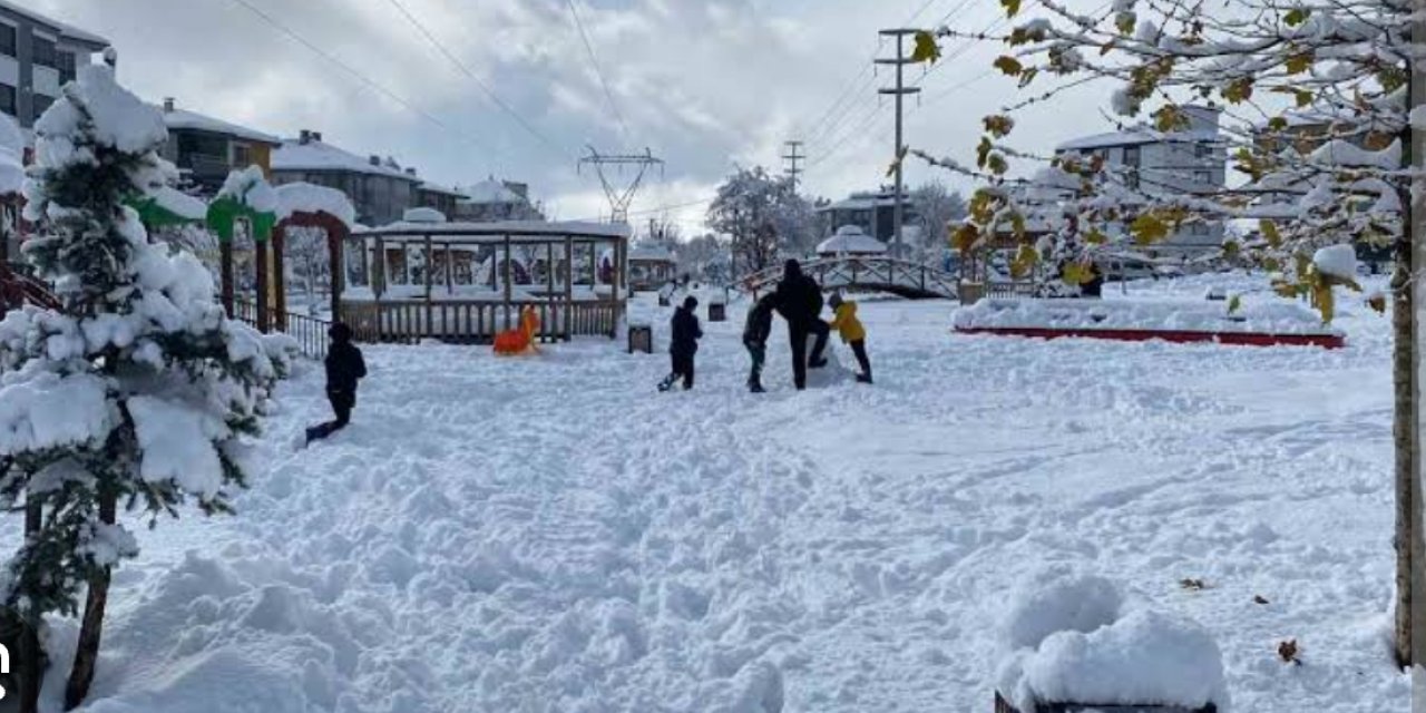 Eğitime kar engeli Bolu’da 4 ilçede okullar tatil