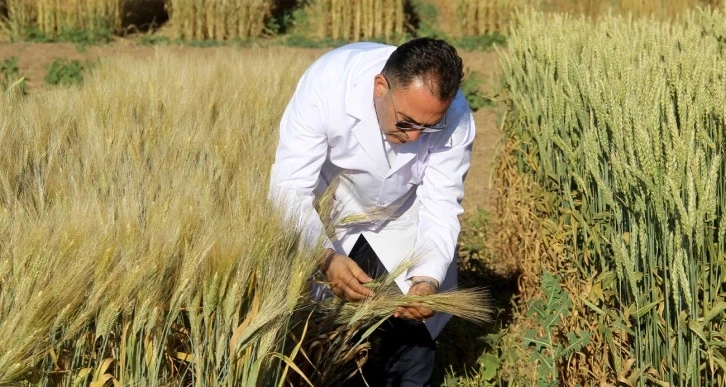 Dünyayı bekleyen açlık tehdidine çare üretiliyor