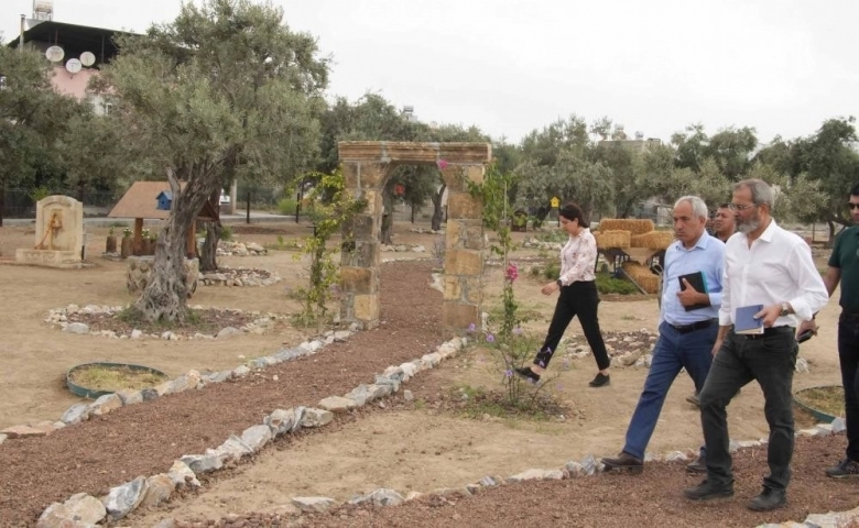 Tarsus Belediyesince , Zeytin Gen Koruma Alanı' açılıyor