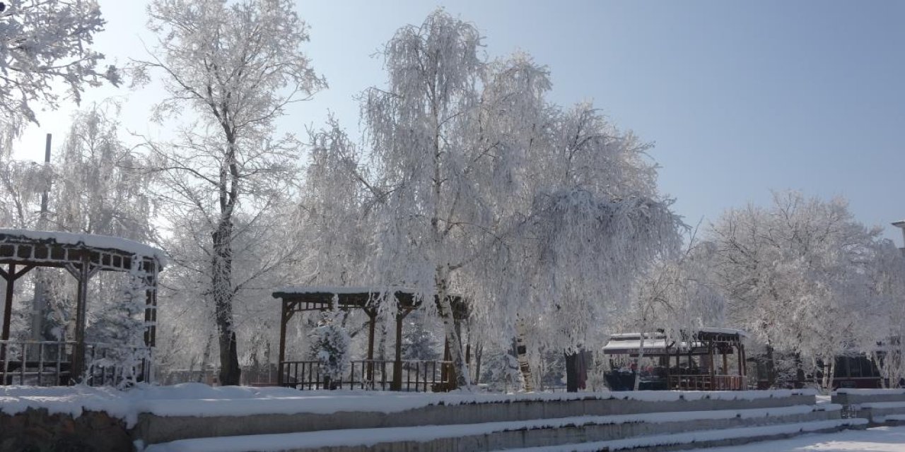 Ardahan'da Sibirya soğukları Eksi 25 derece