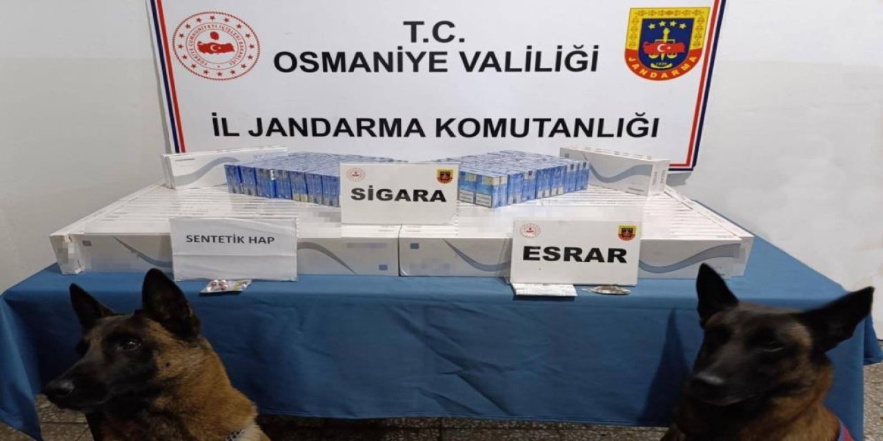 Osmaniye’de yapılan operasyonlarda 107 kişi yakalandı