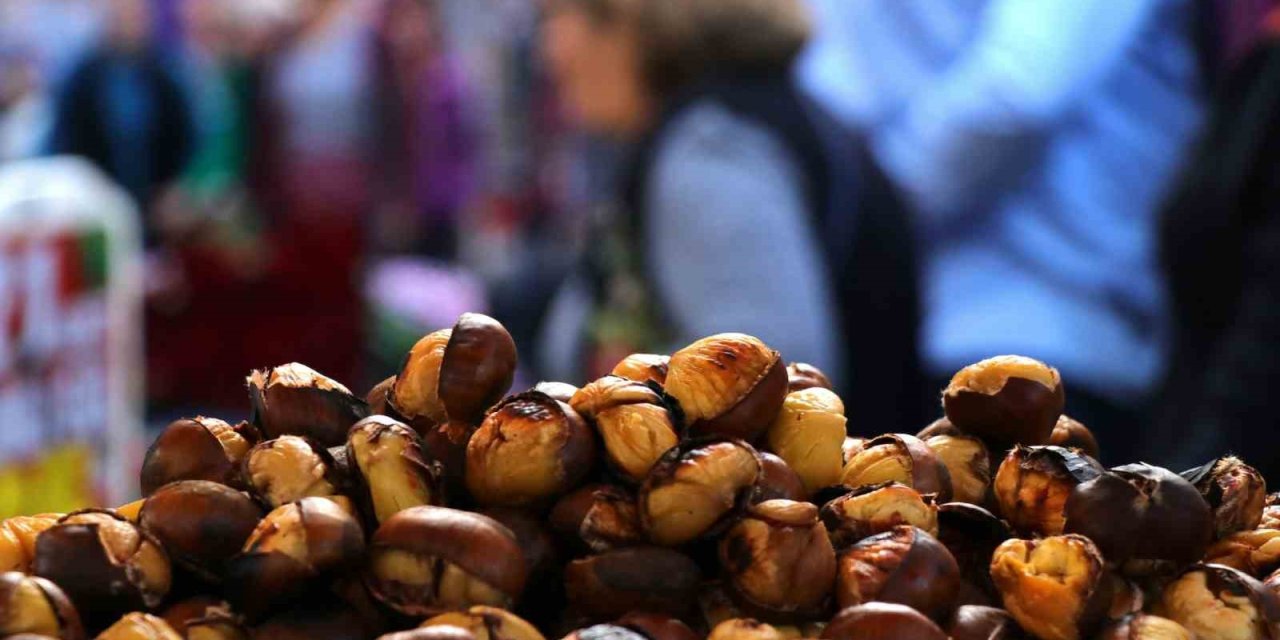 Kestane de şifa var, Kolesterolü düşürüyor, kanserden koruyor!