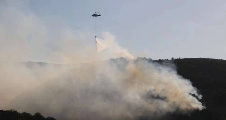 Hatay’daki orman yangınına müdahale sürüyor