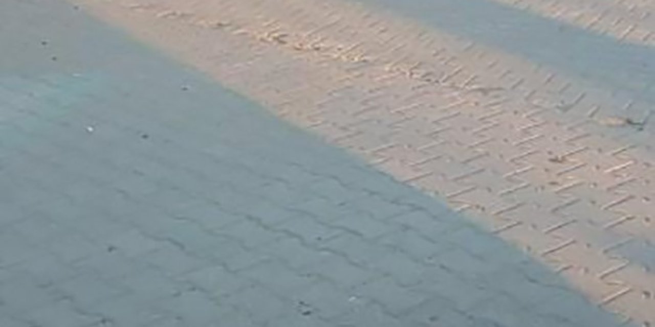 Nevşehir’de kardeş cinayeti